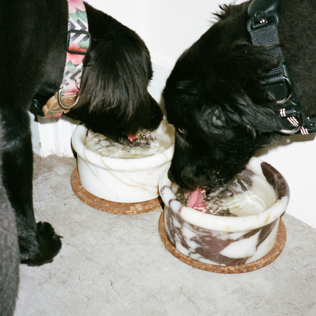 Marbowl_Dog_Cat_Bowl_-_Spilt_Ink_-_LS_04.png