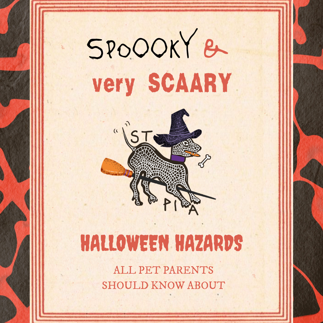 Don't be Haunted by Halloween Hazards!