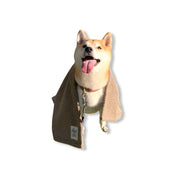 Sandy Blankie Pet Blanket + Mat