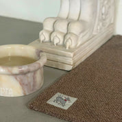 Sandy Blankie Pet Blanket + Mat