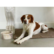 Sandy Blankie Pet Blanket + Mat