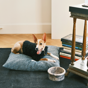 Akide Dog + Cat Bed