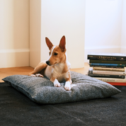 Akide Dog + Cat Bed
