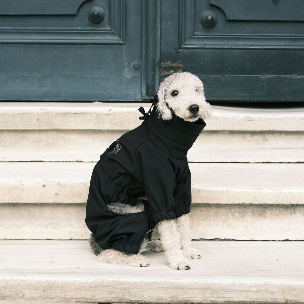 Astro_Ultimate_Winter_Dog_Coat_-_Black_-_LS_01.png