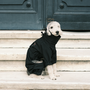 Astro Ultimate Winter Dog Coat