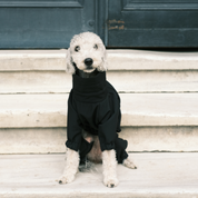Astro Ultimate Winter Dog Coat