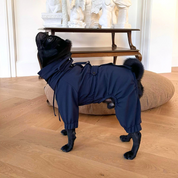 Astro Ultimate Winter Dog Coat