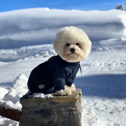 Astro Ultimate Winter Dog Coat