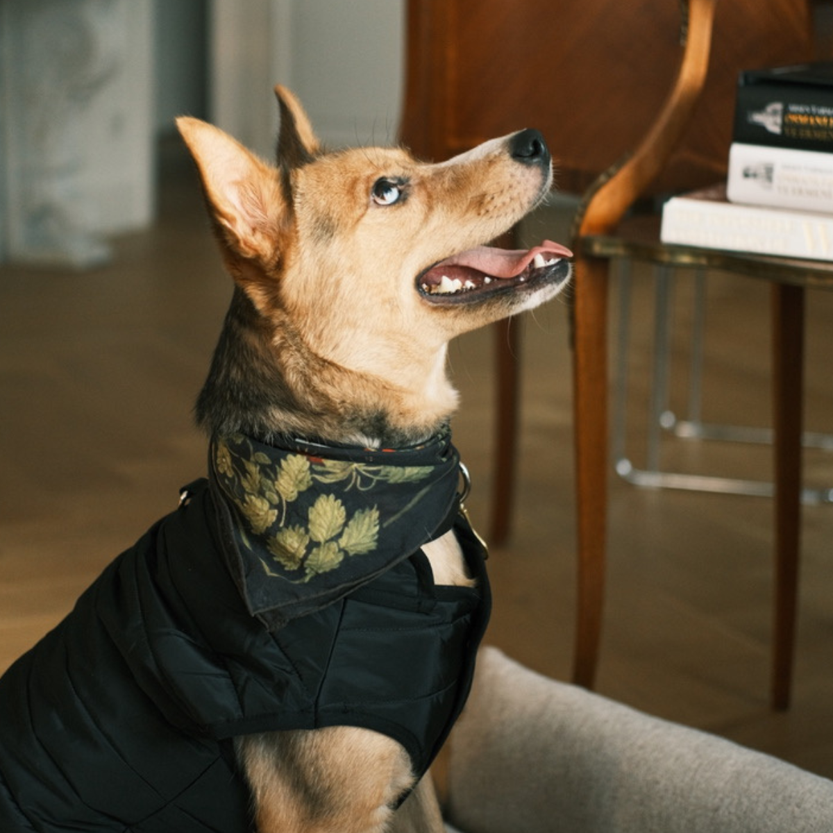 Berry_BFF_Pet_Human_Bandana_-_LS_07.png