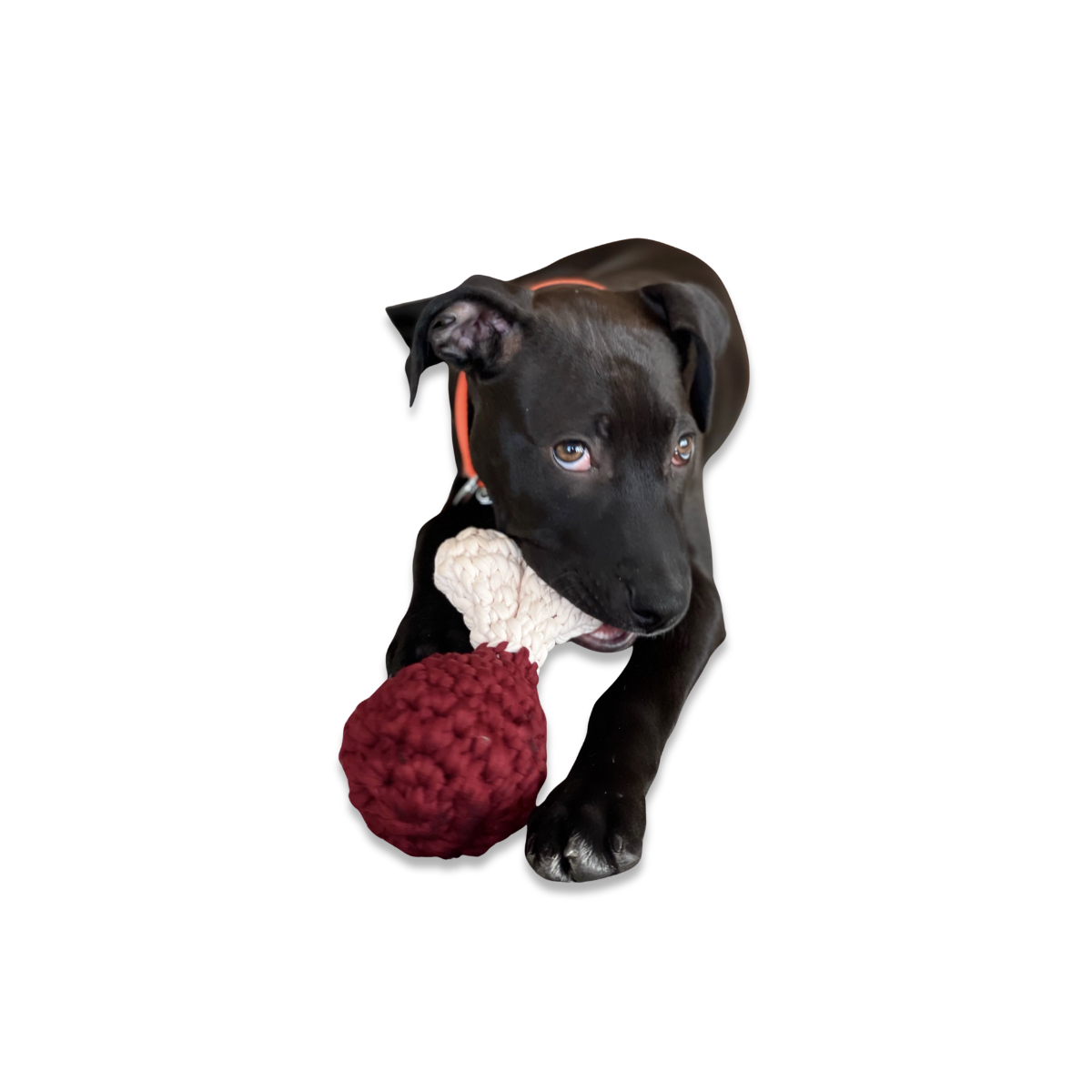 Bistecca_Handmade_Dog_Cat_Toy_-_02.png
