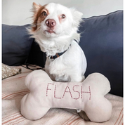 Bone Dog Pillow - Customisable
