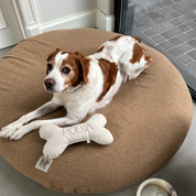 Bone Dog Pillow - Customisable