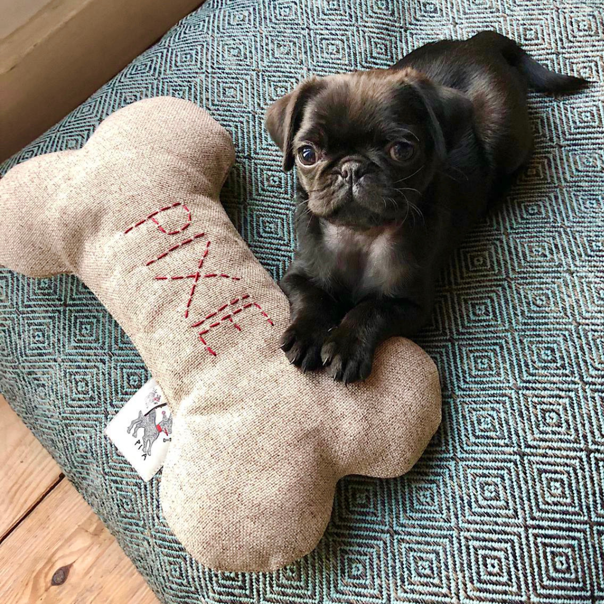 Bone Dog Pillow - Customisable