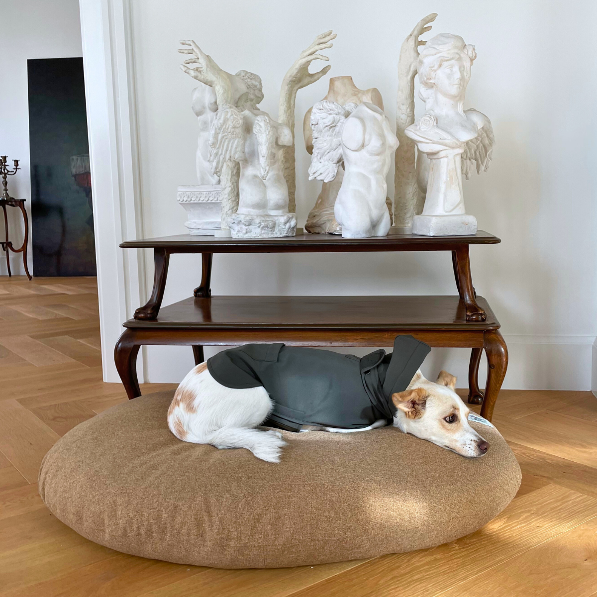 Budu_Dog_Cat_Bed_-_LS_04.png