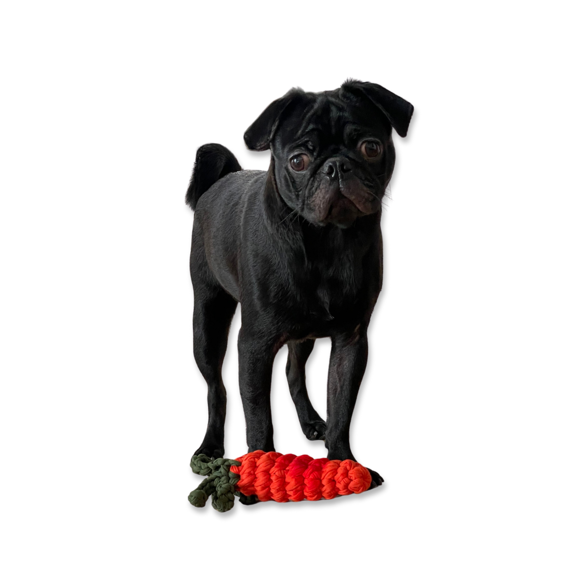 Carrot_Toy_-_02.png