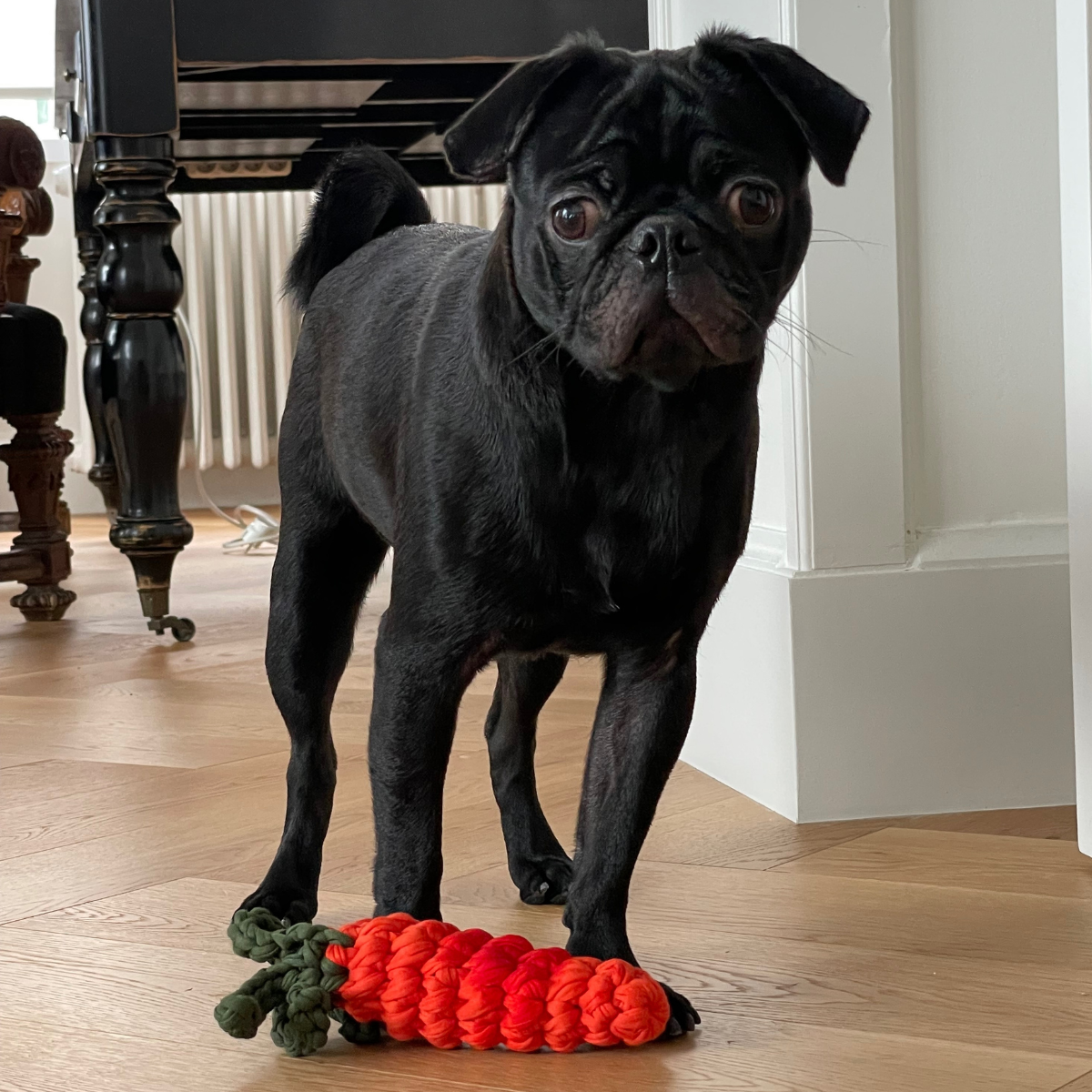 Carrot_Toy_-_LS_01.png