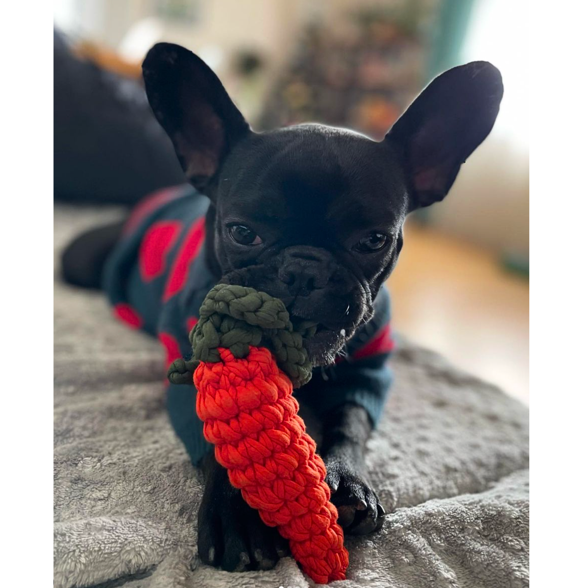 Carrot_Toy_-_LS_03_2.png