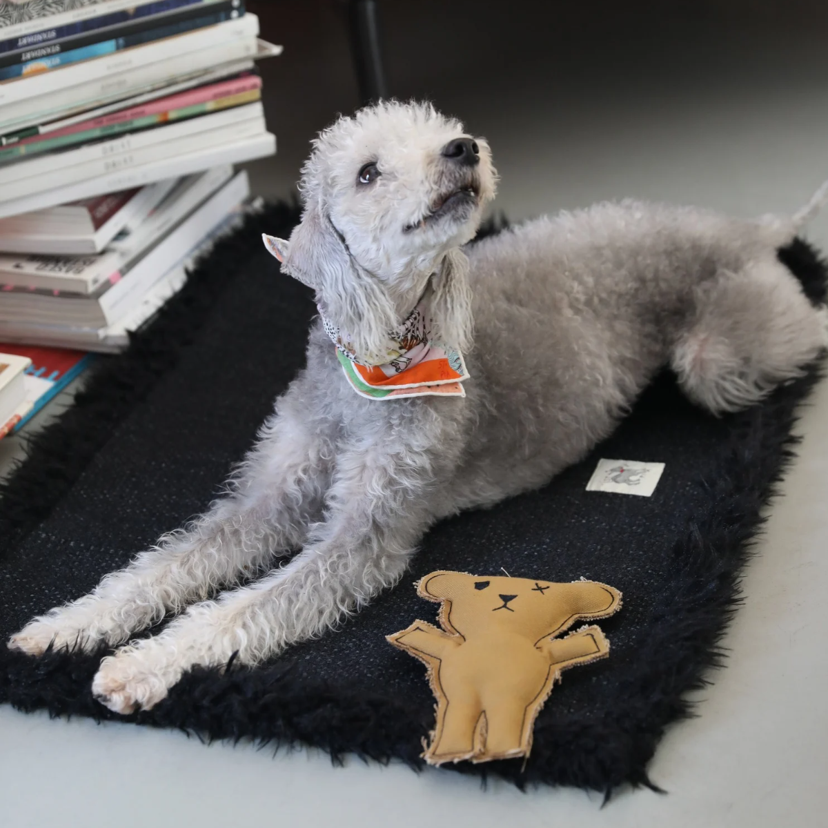 Charcoal_Pet_Blanket_Mat_-_with_fluff_-_Black_-_LS_01.png