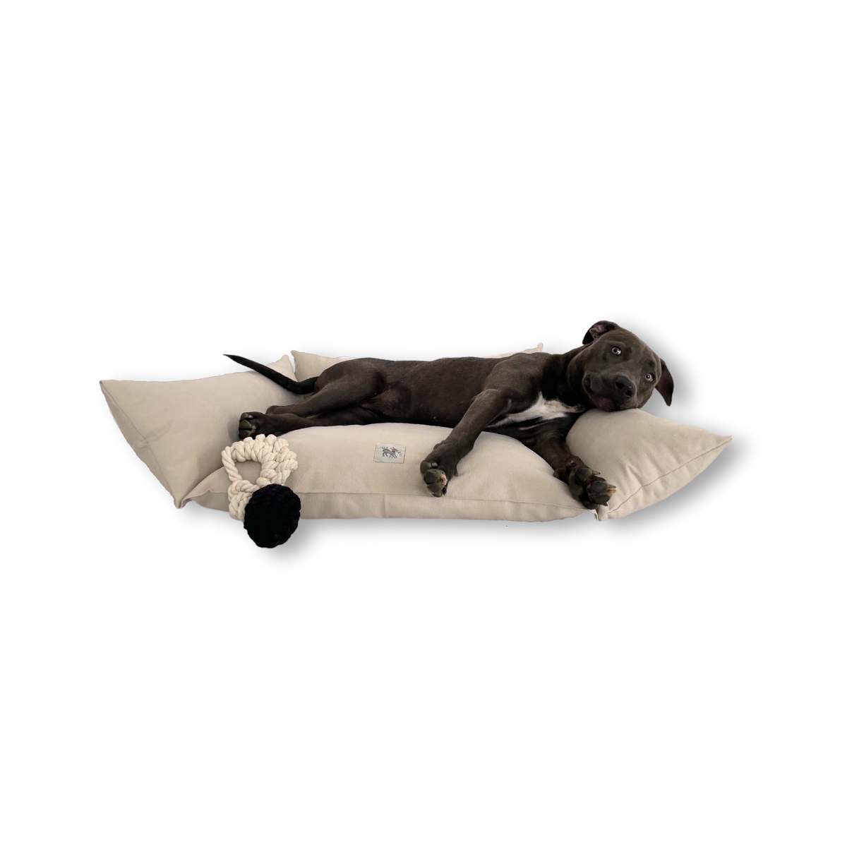 Cornette_Dog_Cat_Bed_-_Milk_-_05.png