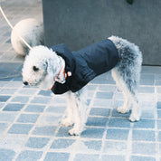 Flutter Dog Raincoat