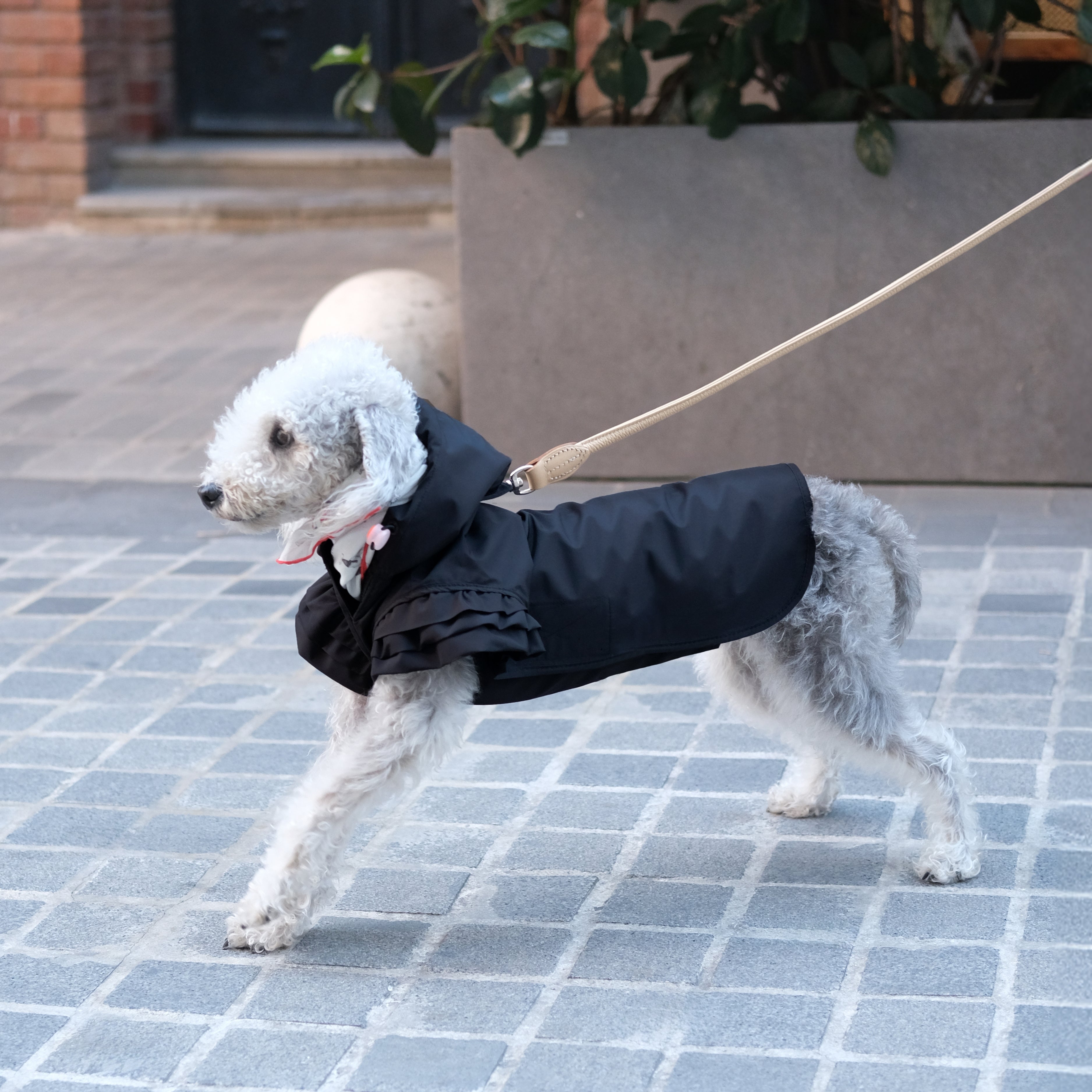 Flutter Dog Raincoat