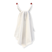 Ghostly Halloween Costume