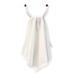 Ghostly Halloween Costume