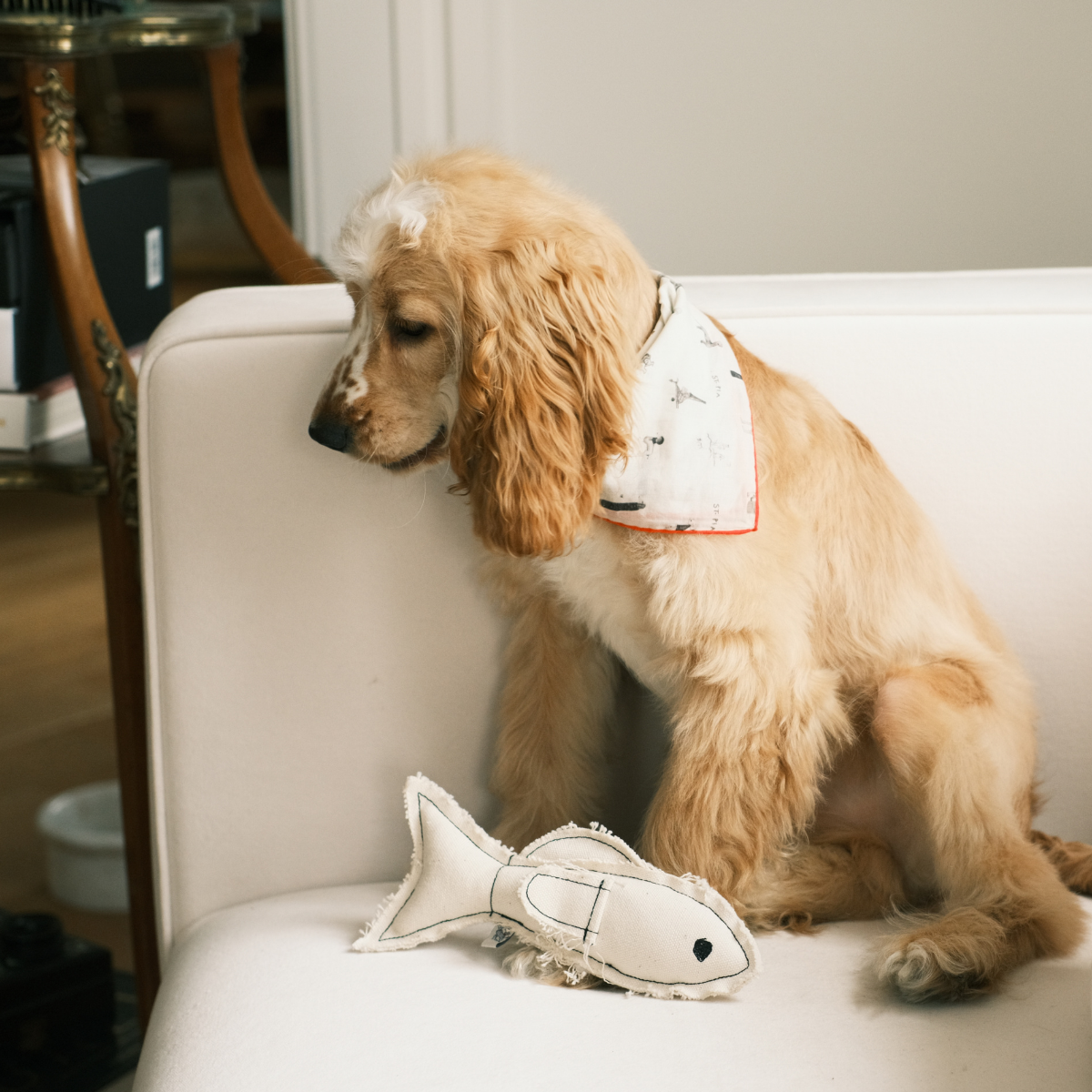 Hamsi Fish Handmade Dog + Cat Toy