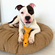 Hamsi Fish Handmade Dog + Cat Toy