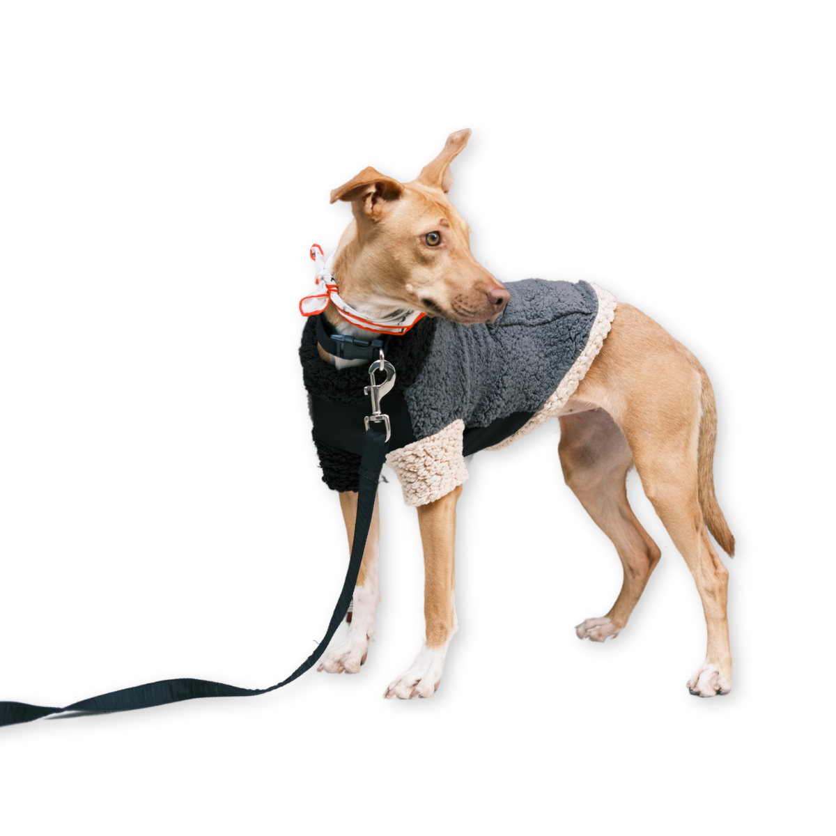 Hiker_Fleece_Dog_Jumper_-_05.png