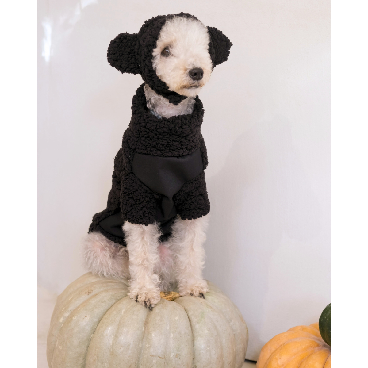 Hiker_Fleece_Dog_Jumper_-_Black_Cub_-_LS_-_04.png