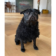 Fluffy Dog + Cat Jumper - Vegan Fur