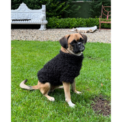Fluffy Dog + Cat Jumper - Vegan Fur