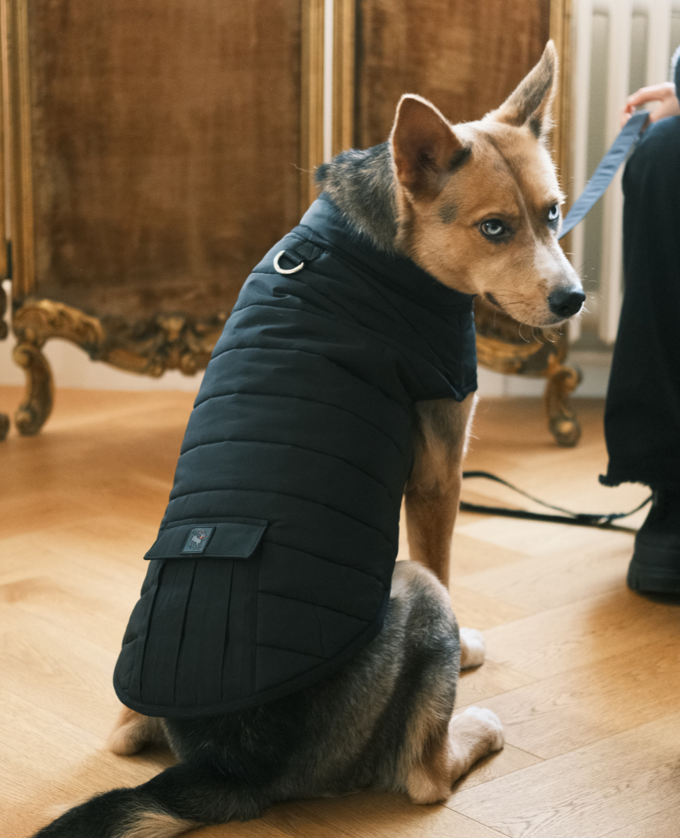 Hive Puffer Dog Coat