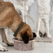 Marbowl Dog + Cat Bowl