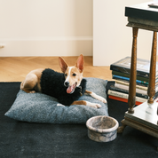Marbowl Dog + Cat Bowl