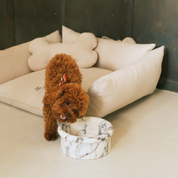 Marbowl Dog + Cat Bowl