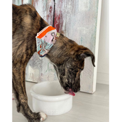 Marbowl Dog + Cat Bowl