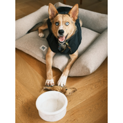 Marbowl Dog + Cat Bowl