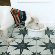 Marbowl Dog + Cat Bowl