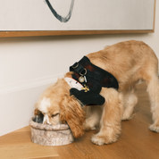 Marbowl Dog + Cat Bowl