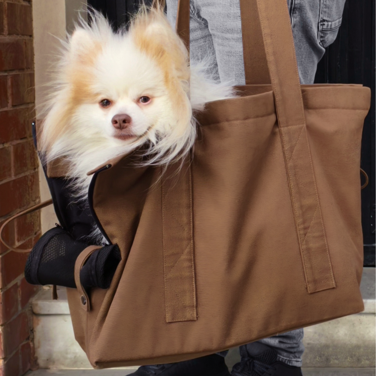 Marsu Tote Bag + Pet Carrier
