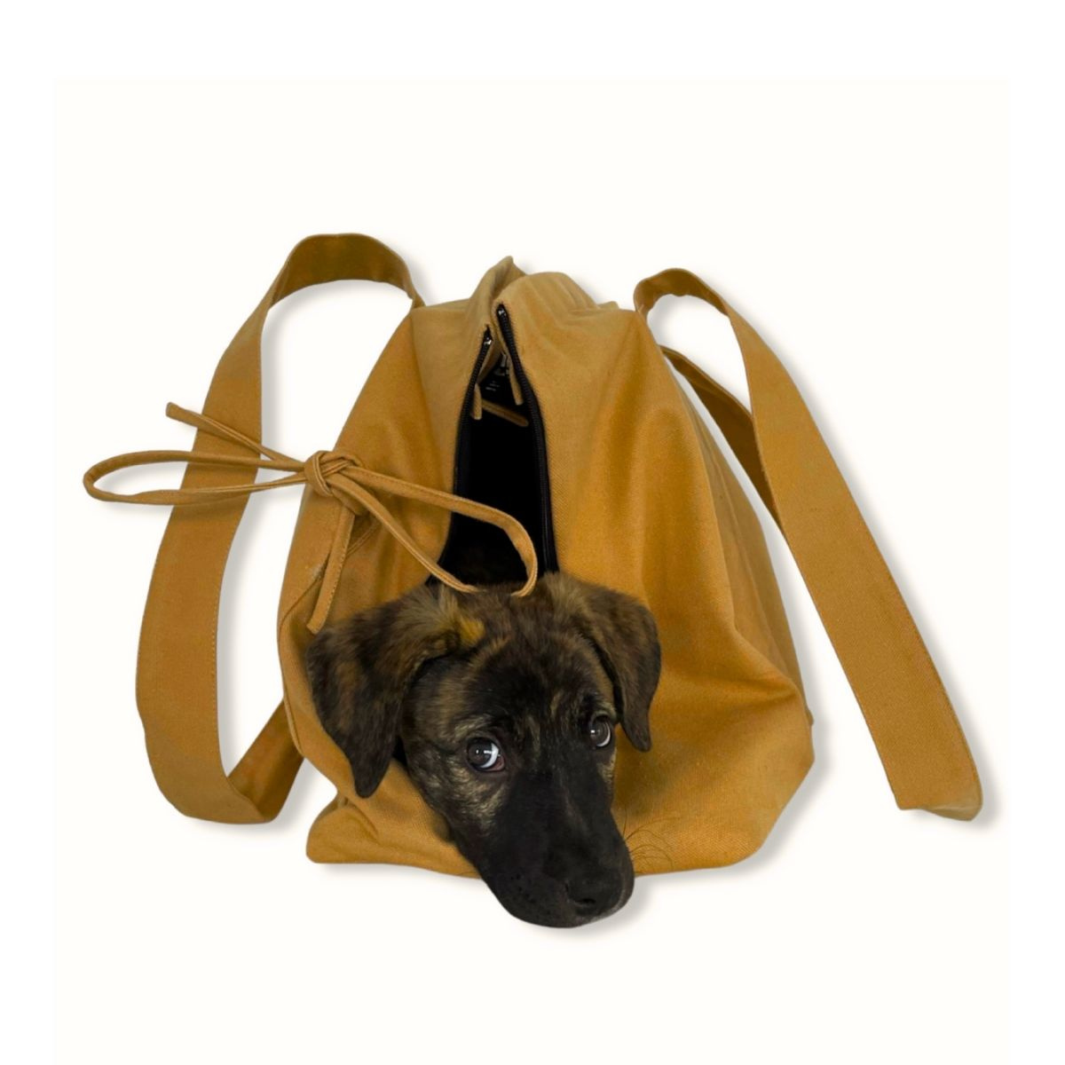 Marsu_Tote_Bag_Pet_Carrier_-_Mustard_-_02.png