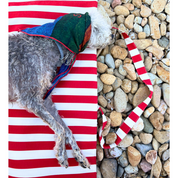 Party Pet + Human Bandana