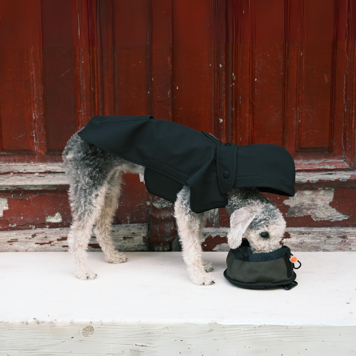 Pluvio Dog Raincoat