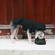 Pluvio Dog Raincoat