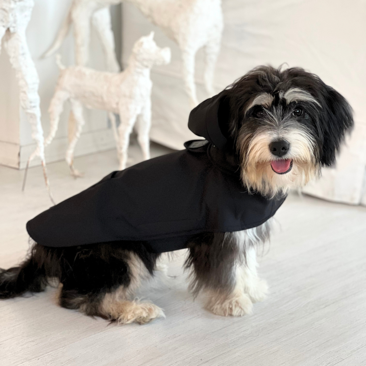 Pluvio_Dog_Raincoat_-_Black_-_LS_02_0a68d467-3299-4cdf-9e21-140007db6696.png