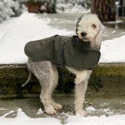 Pluvio Dog Raincoat