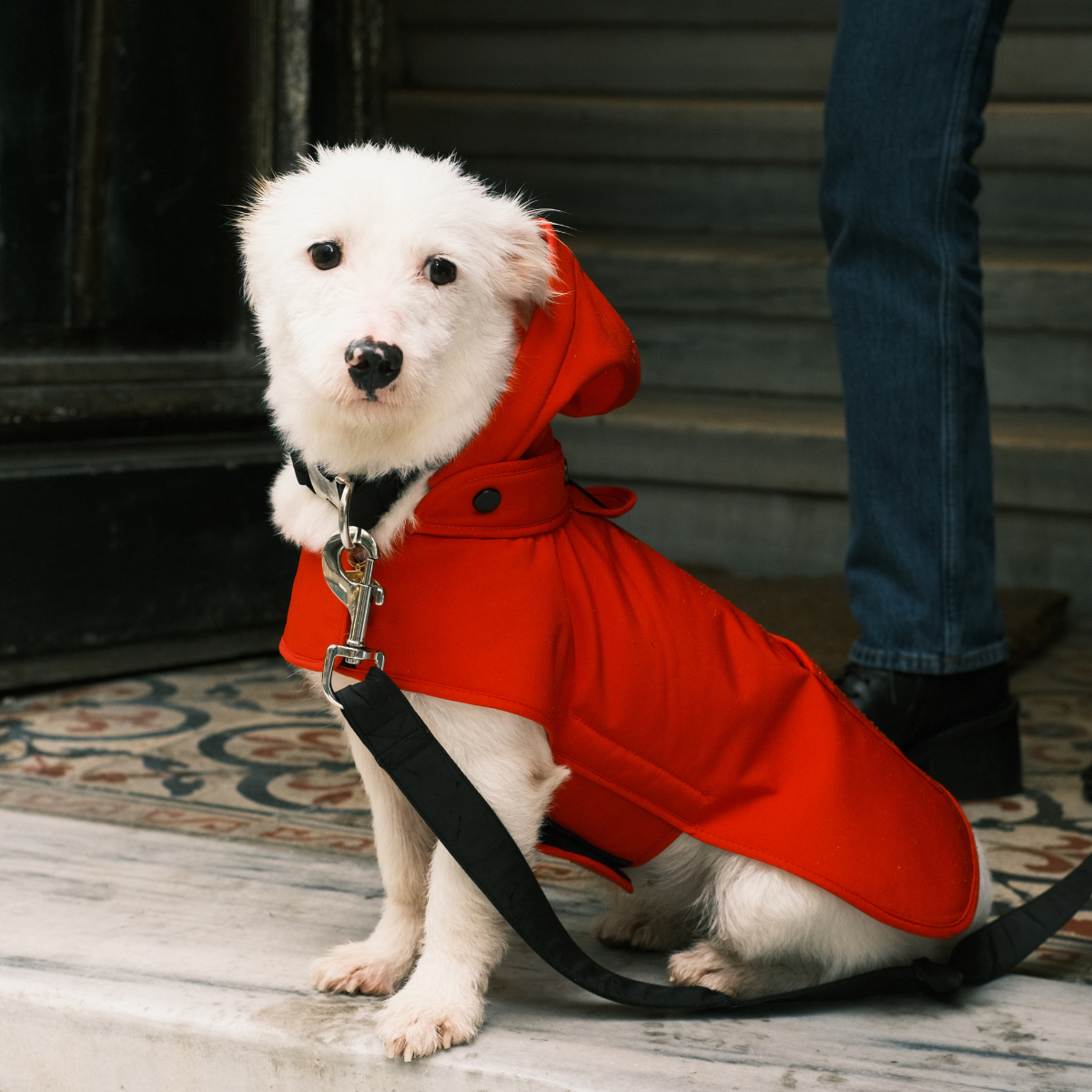 Pluvio_Dog_Raincoat_-_Red_-_LS_04_33d23d2c-6ae4-4a0f-8671-dc786fd87d85.png
