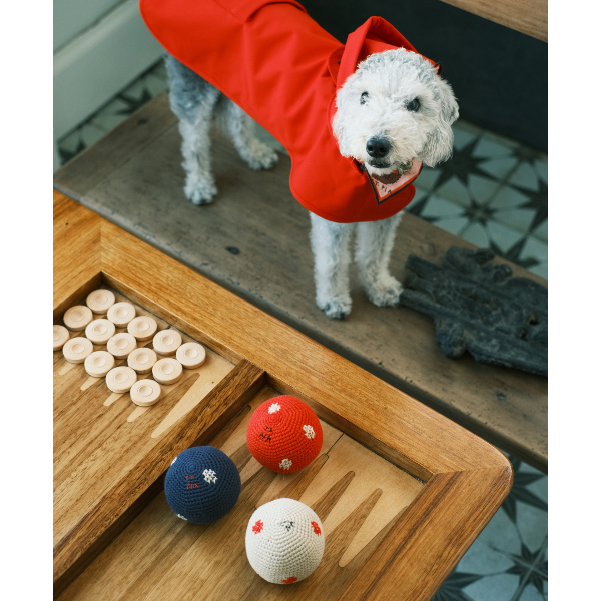 Polka_Dot_Handmade_Dog_Cat_Toy_-_All_-_LS_01.png